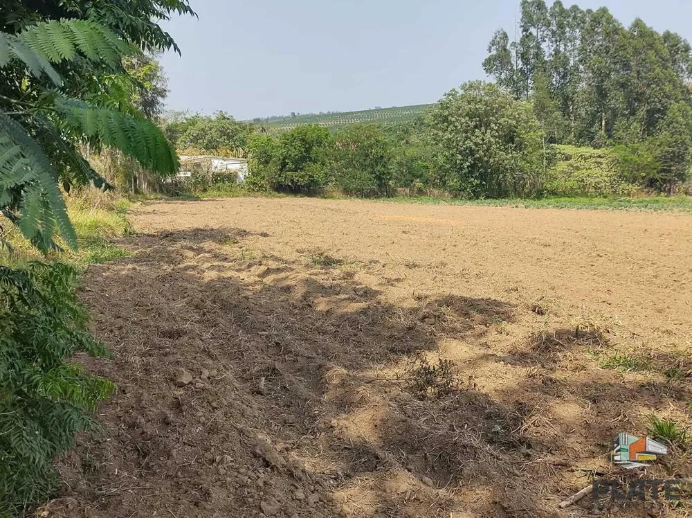 Terreno, 5000 m² - Foto 8