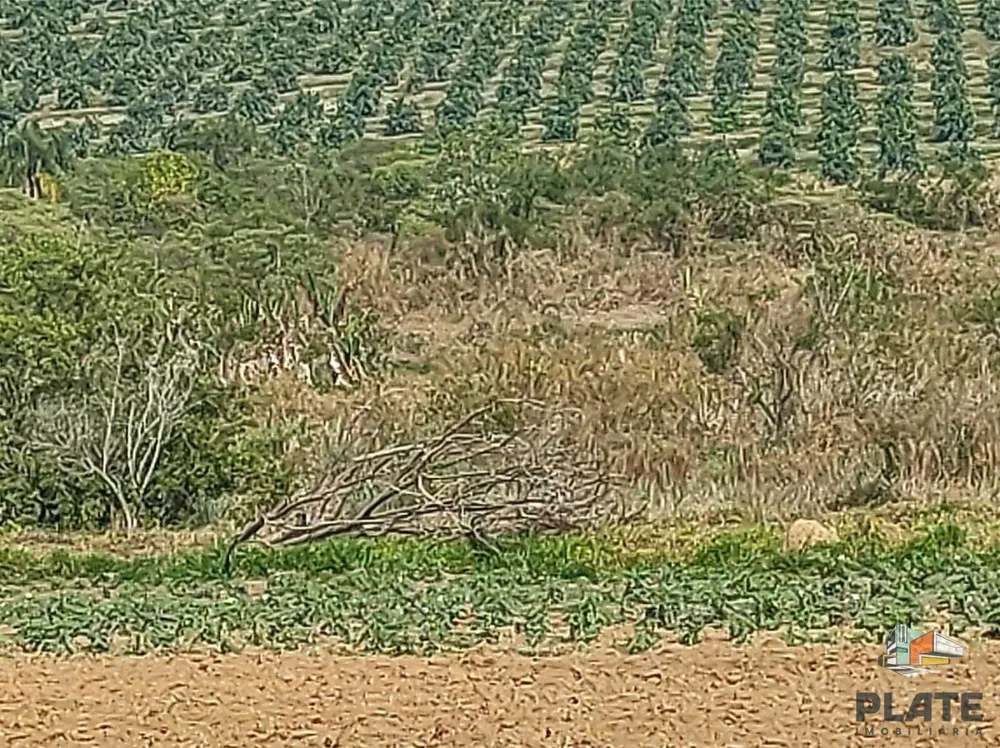 Terreno, 5000 m² - Foto 7