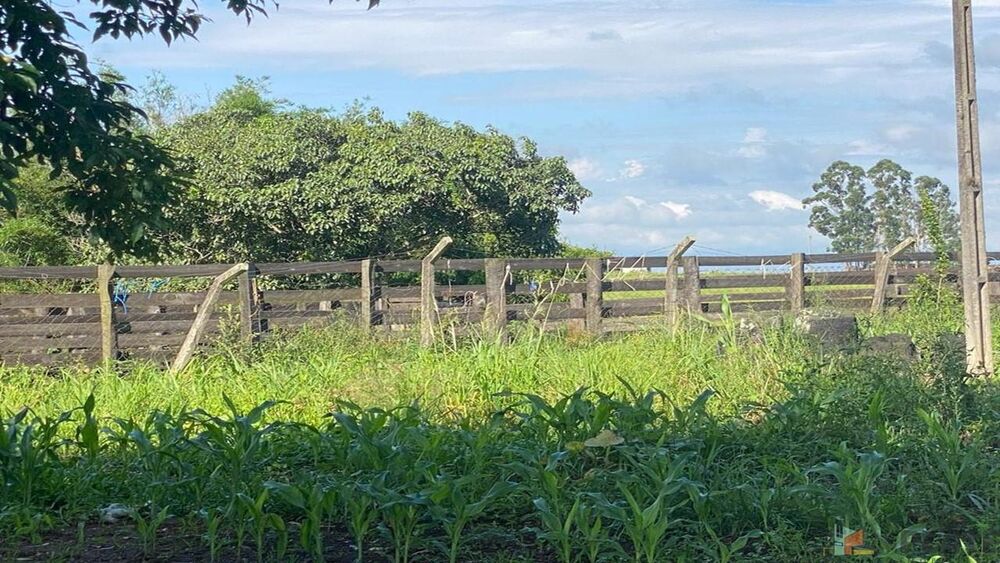 Sítio, 27 hectares - Foto 13