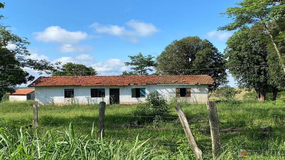 Sítio, 27 hectares - Foto 10