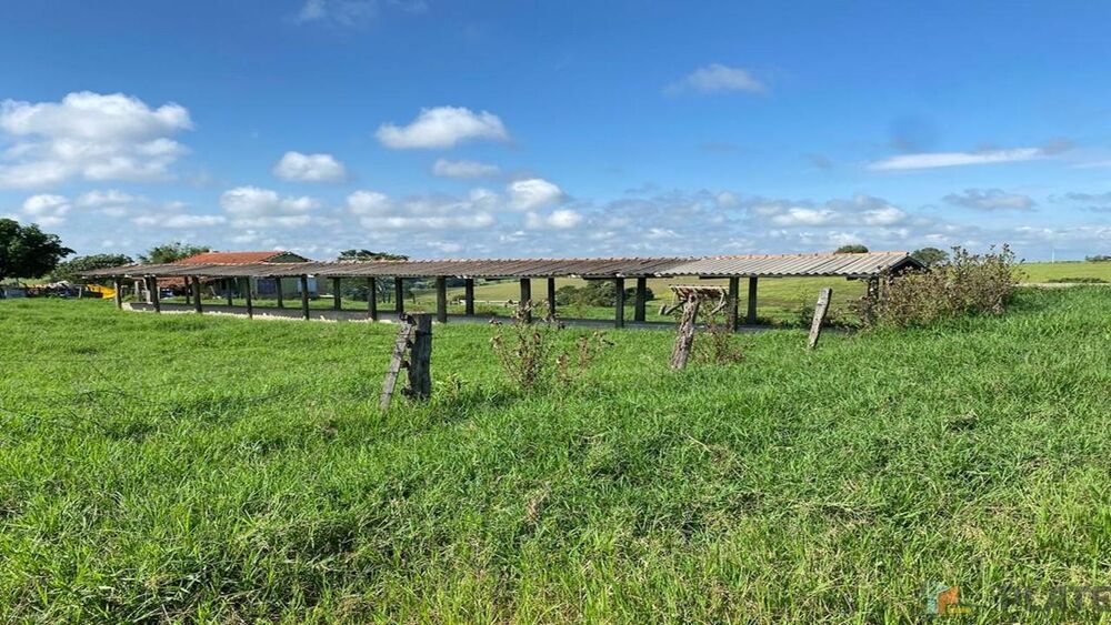 Sítio, 27 hectares - Foto 3