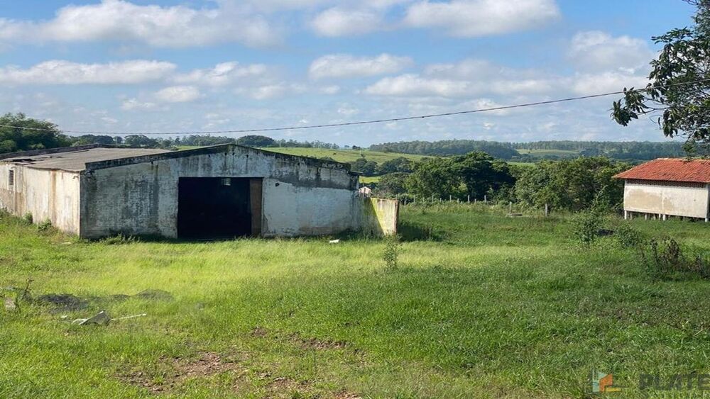 Sítio, 27 hectares - Foto 11