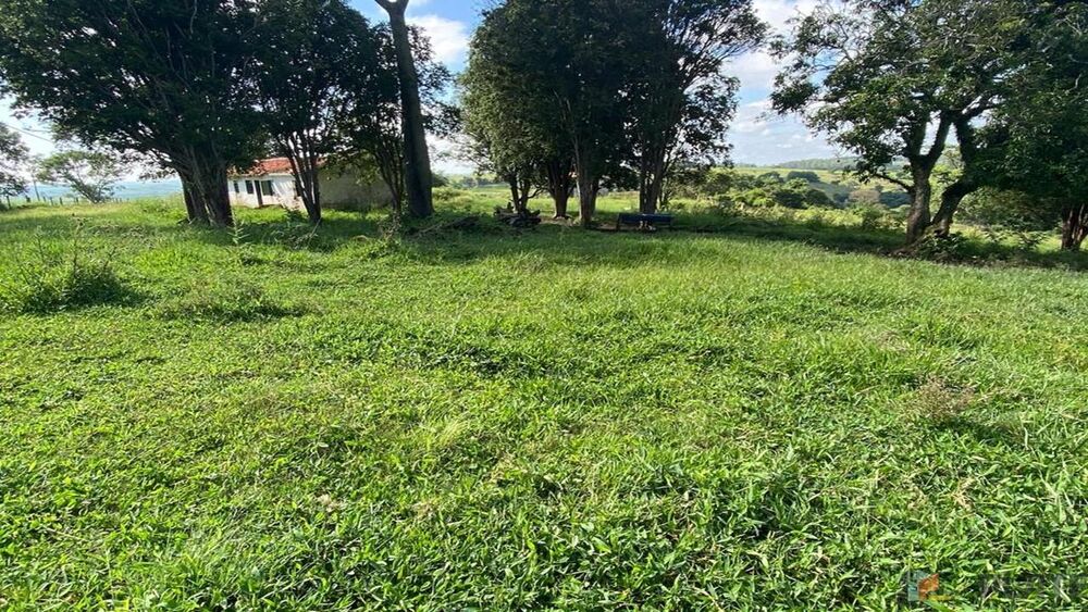 Sítio, 27 hectares - Foto 15