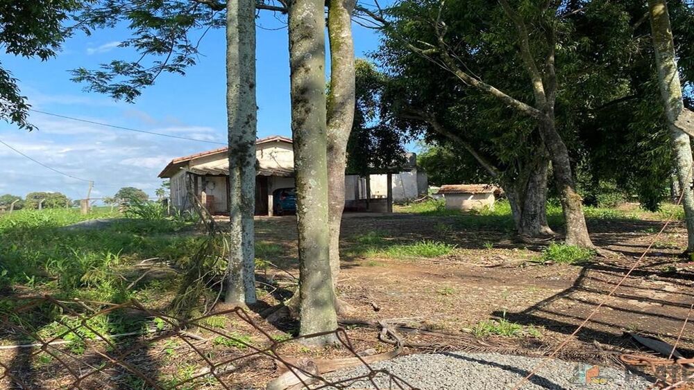 Sítio, 27 hectares - Foto 9