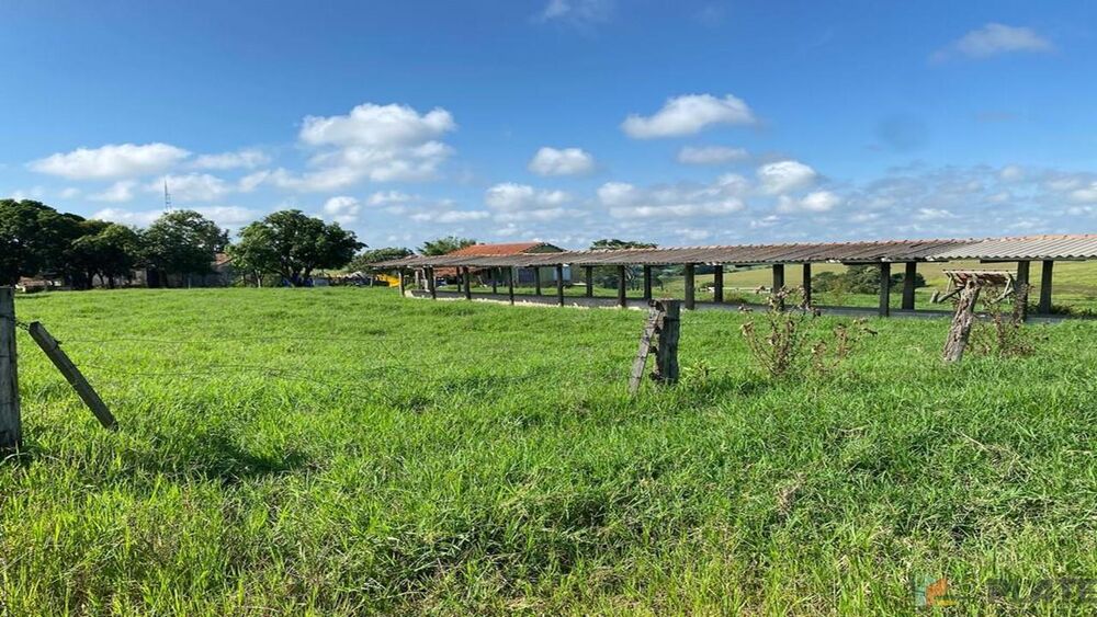 Sítio, 27 hectares - Foto 5