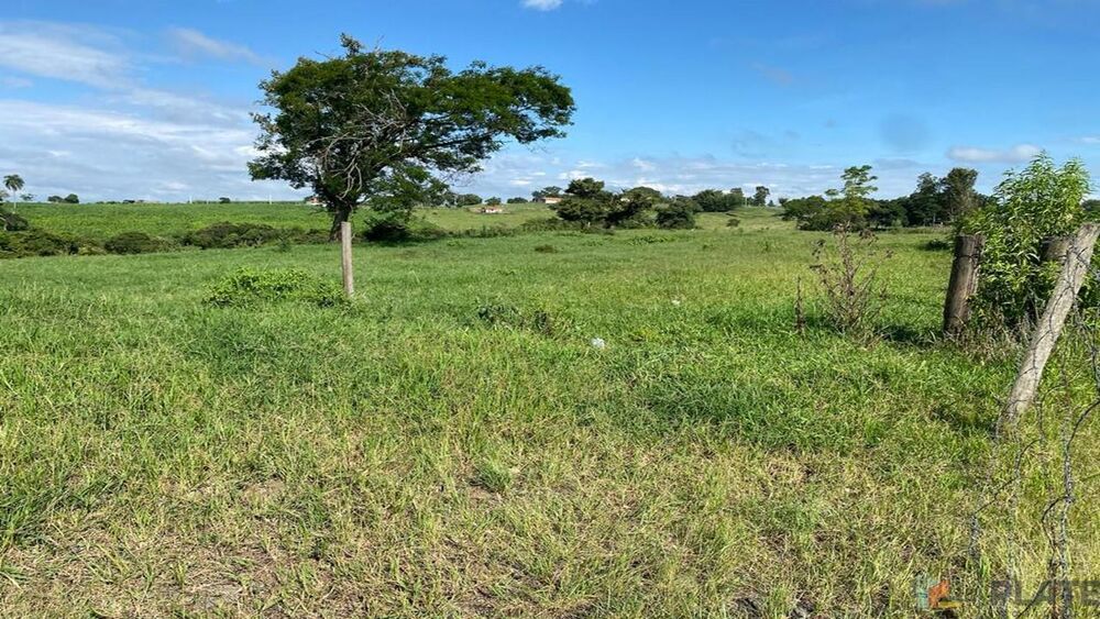 Sítio, 27 hectares - Foto 4