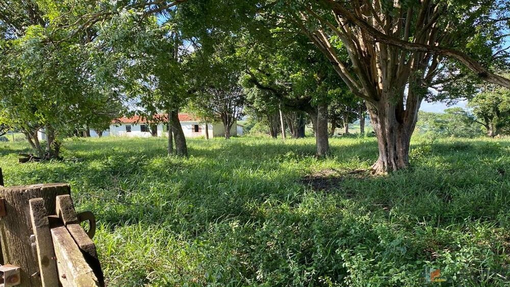 Sítio, 27 hectares - Foto 7