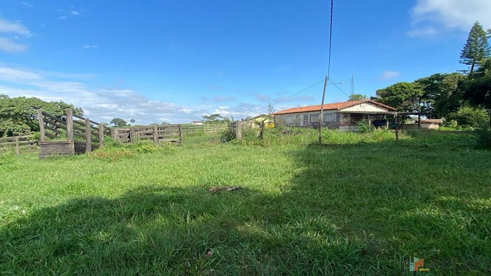 Sítio, 27 hectares - Foto 14