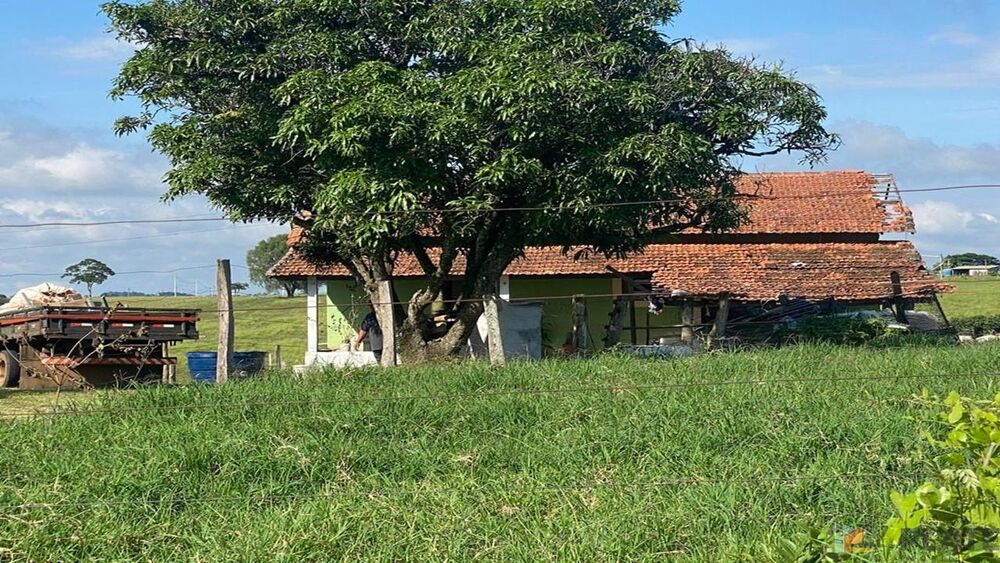 Sítio, 27 hectares - Foto 6