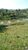 Sítio, 17 hectares - Foto 3