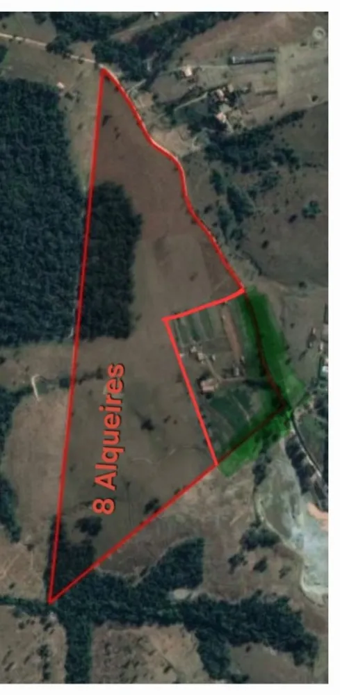 Sítio, 5 hectares - Foto 8