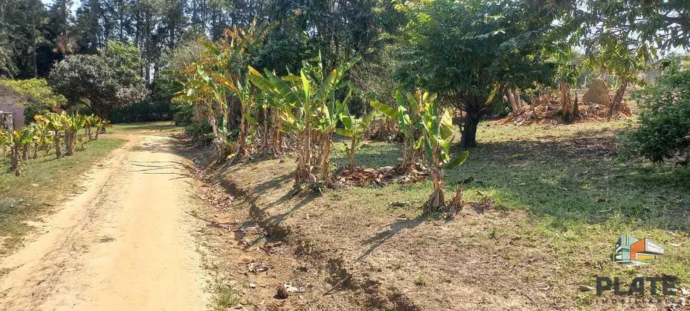 Chácara, 1 hectares - Foto 3