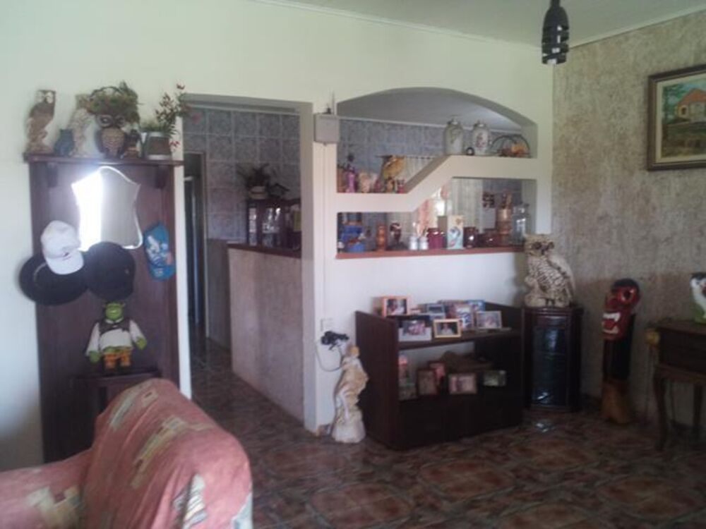 Chácara à venda com 4 quartos, 17000m² - Foto 4
