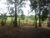 Chácara, 4 quartos, 2 hectares - Foto 7