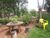 Chácara, 4 quartos, 2 hectares - Foto 10