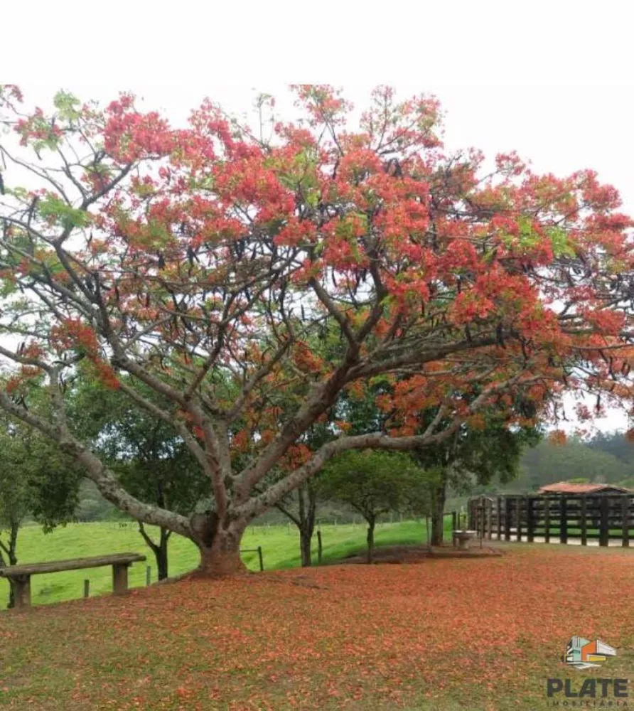 Chácara à venda, 15m² - Foto 3