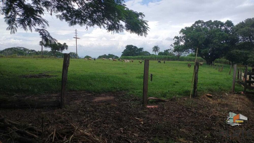 Sítio, 48 hectares - Foto 6