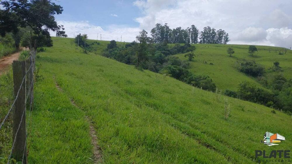 Sítio, 48 hectares - Foto 16