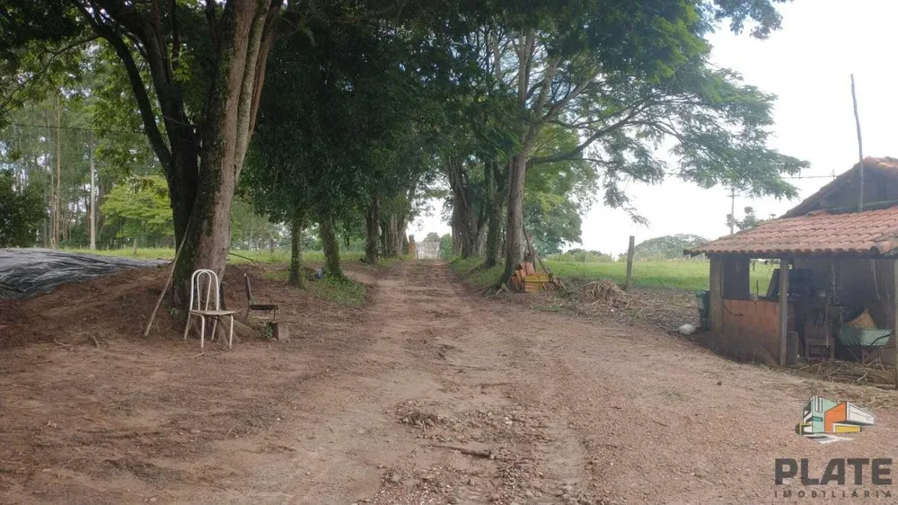 Sítio, 48 hectares - Foto 7