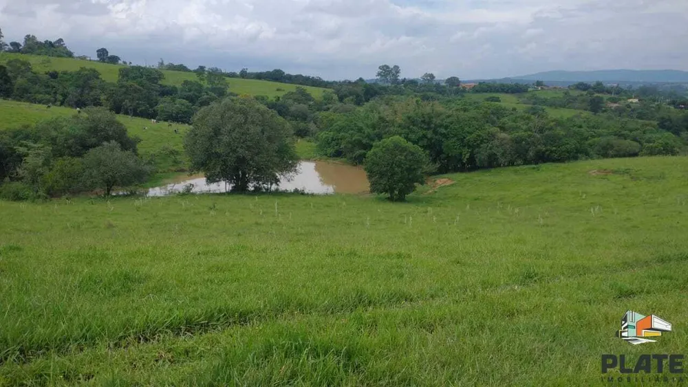 Sítio, 48 hectares - Foto 19