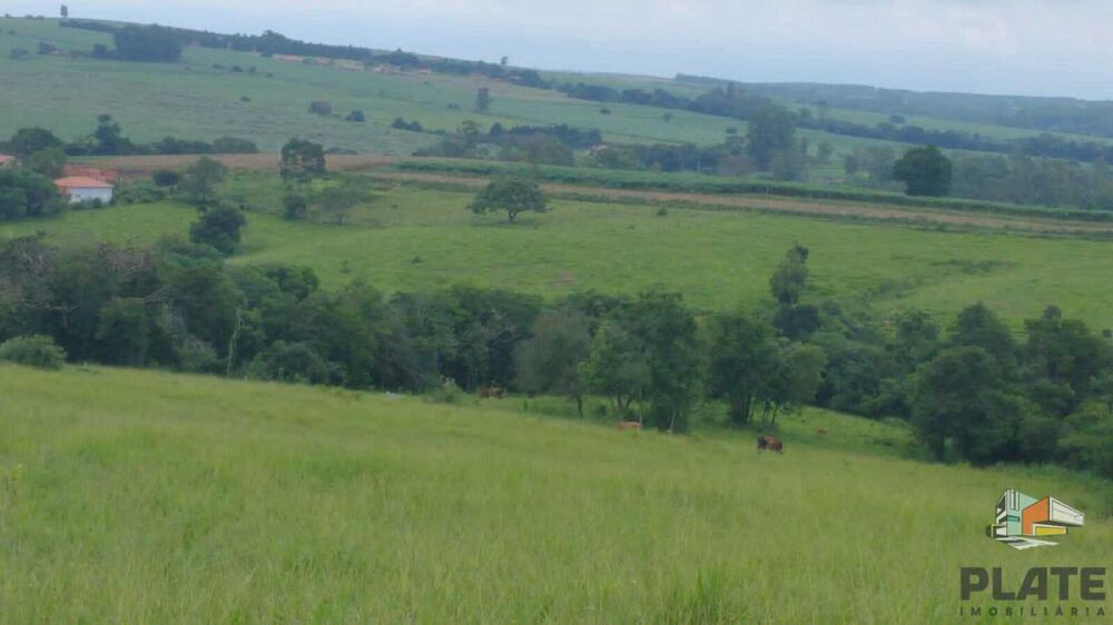 Sítio, 48 hectares - Foto 2