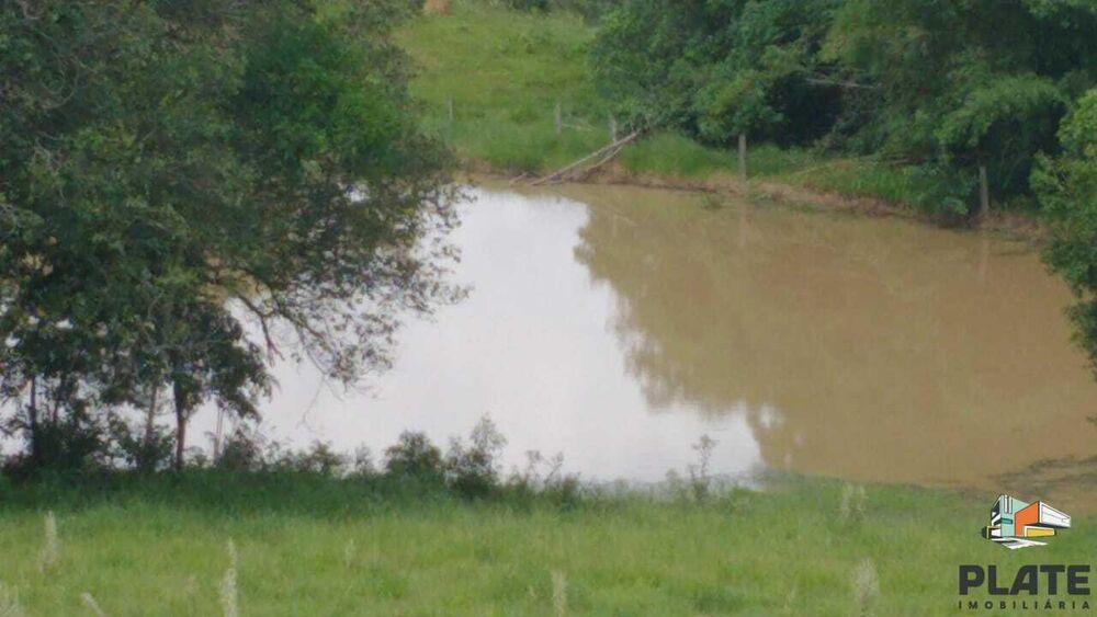 Sítio, 48 hectares - Foto 12