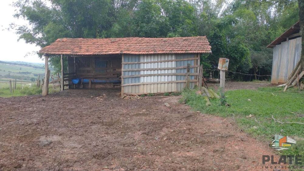 Sítio, 48 hectares - Foto 4