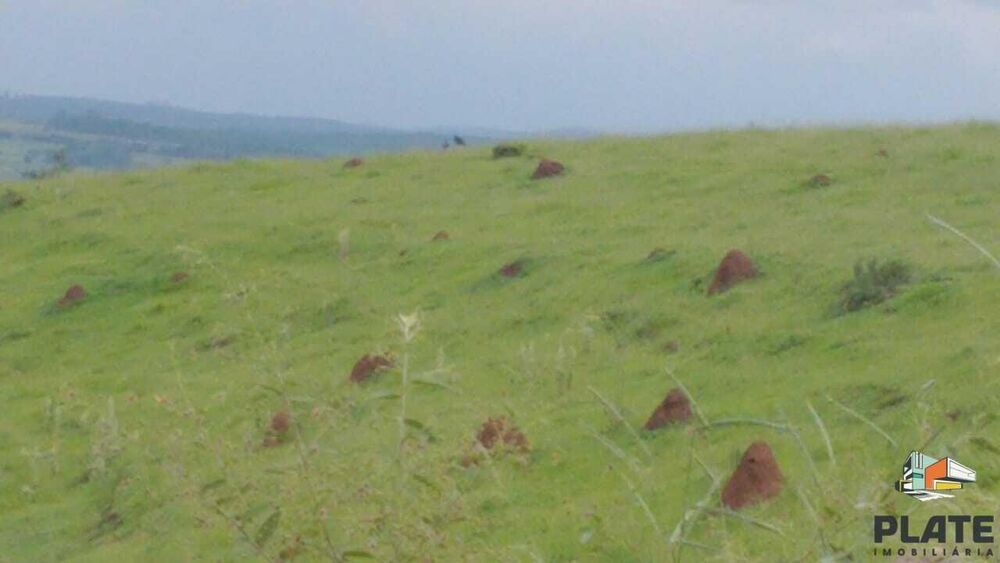 Sítio, 48 hectares - Foto 11