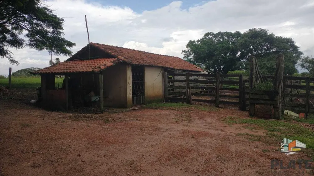 Sítio, 48 hectares - Foto 6