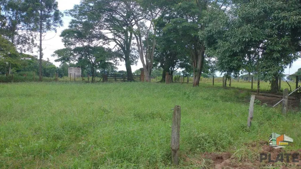 Sítio, 48 hectares - Foto 12