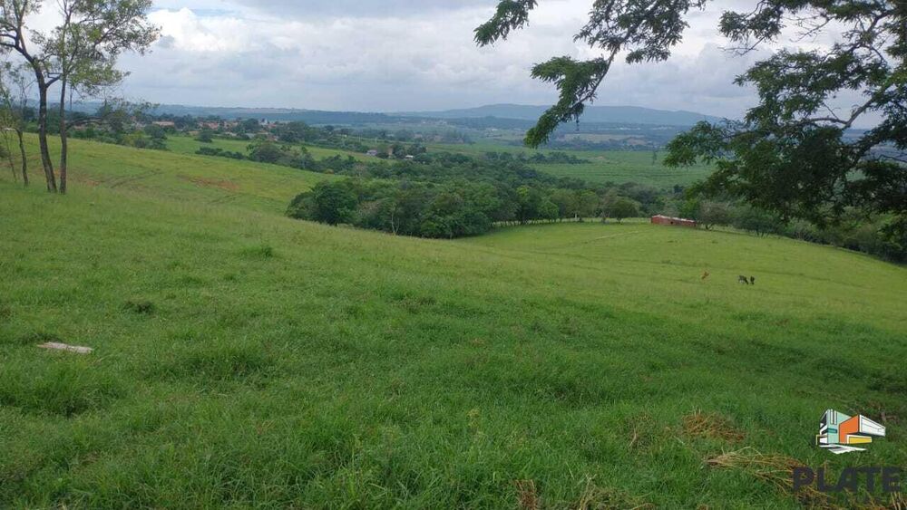 Sítio, 48 hectares - Foto 8