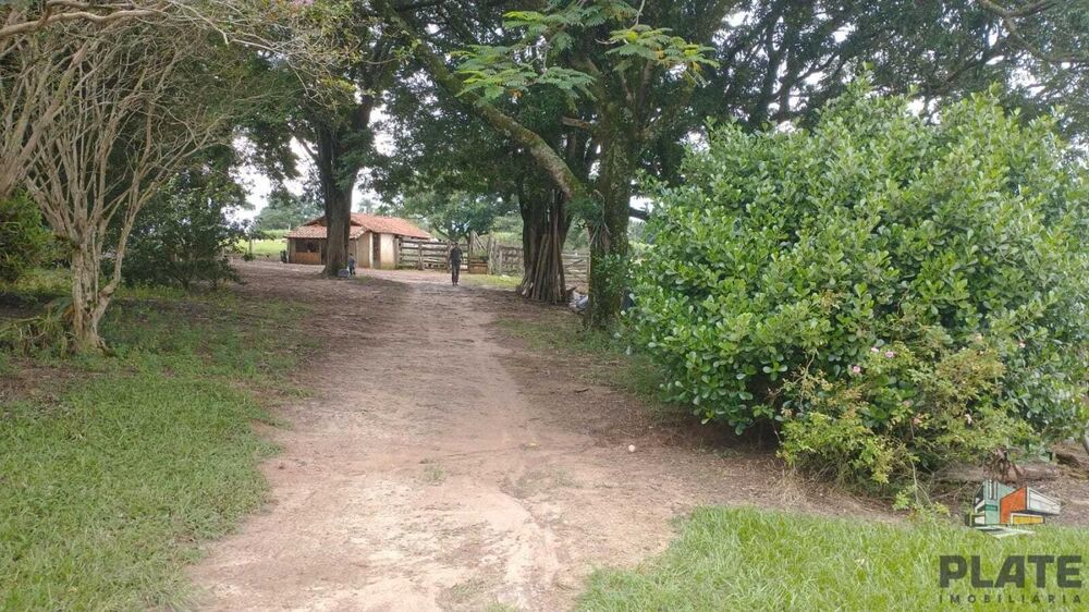 Sítio, 48 hectares - Foto 1