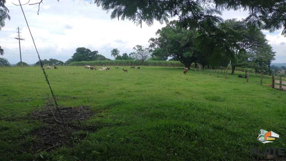 Sítio, 48 hectares - Foto 14