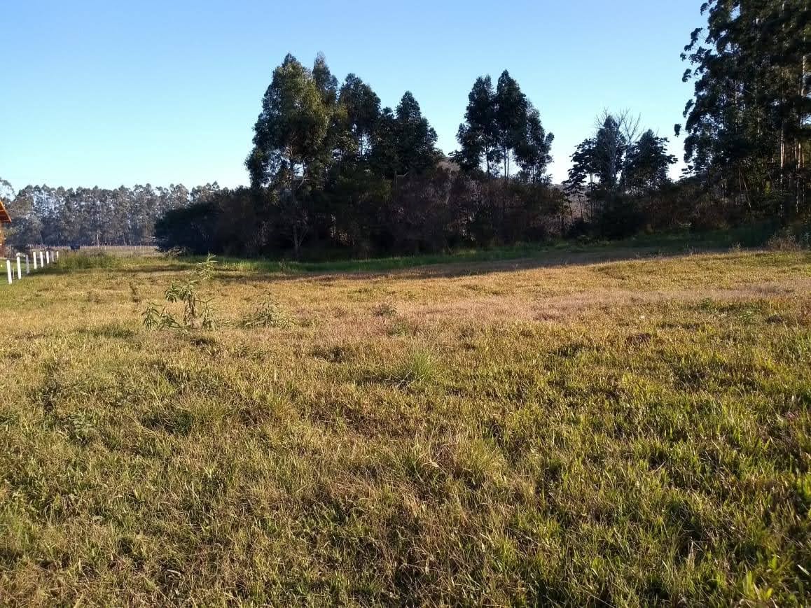 Terreno à venda, 2350m² - Foto 3