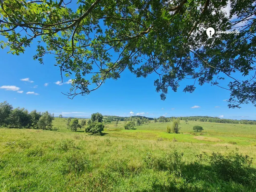 Fazenda, 252 hectares - Foto 1