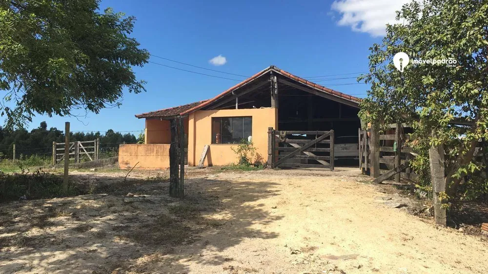 Fazenda, 252 hectares - Foto 30