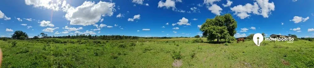Fazenda, 252 hectares - Foto 10