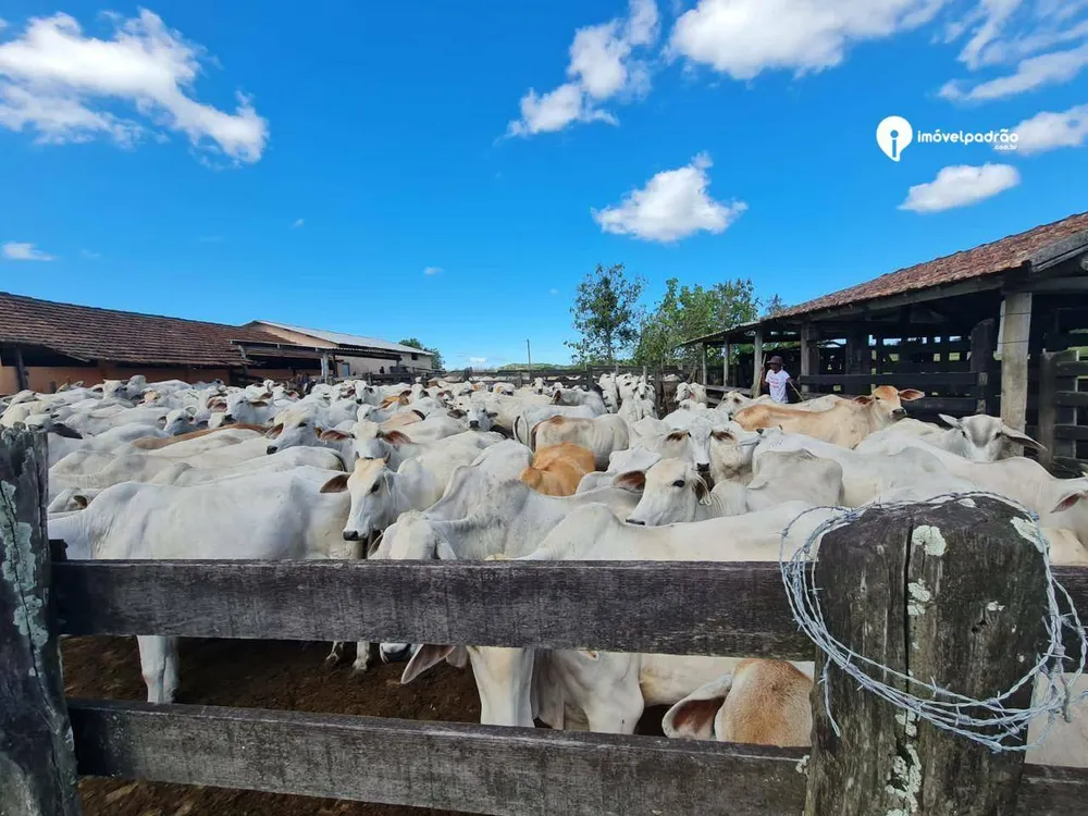 Fazenda, 252 hectares - Foto 12