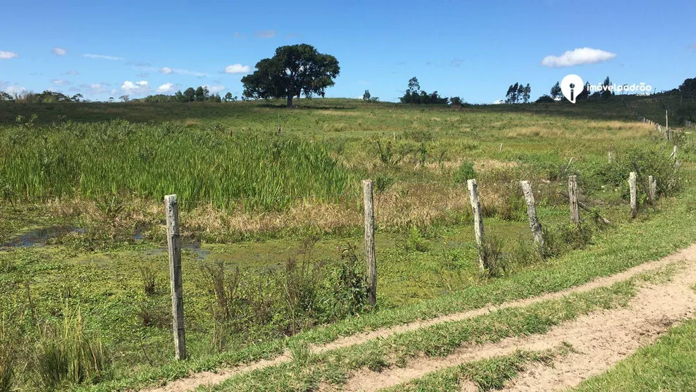Fazenda, 252 hectares - Foto 25