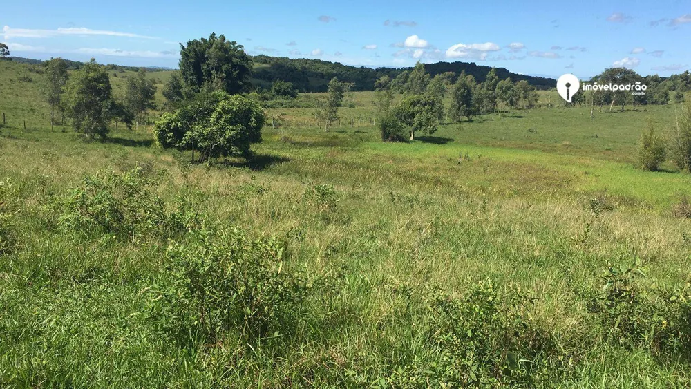 Fazenda, 252 hectares - Foto 32
