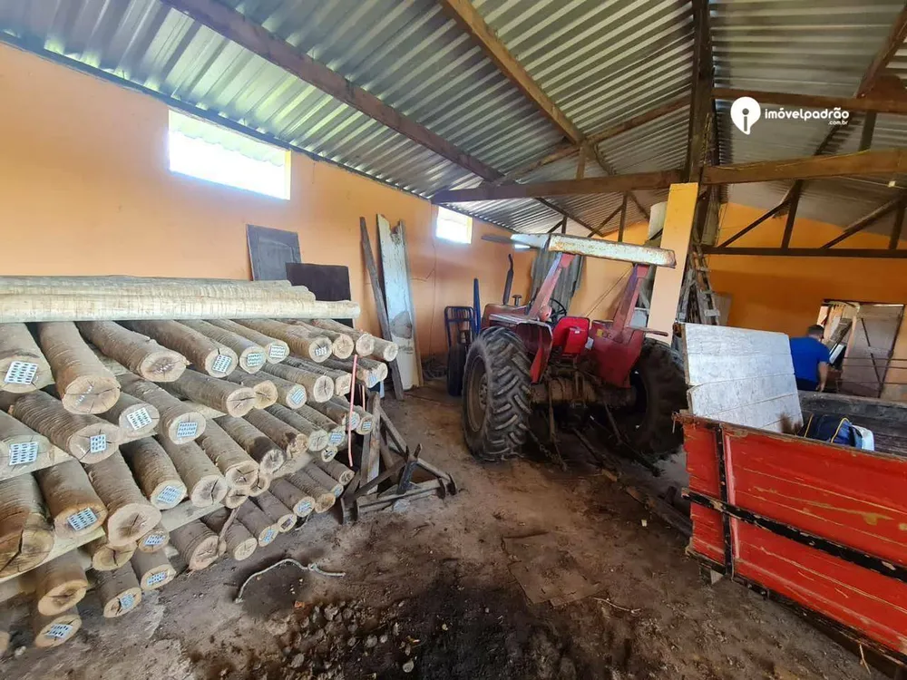 Fazenda, 252 hectares - Foto 7