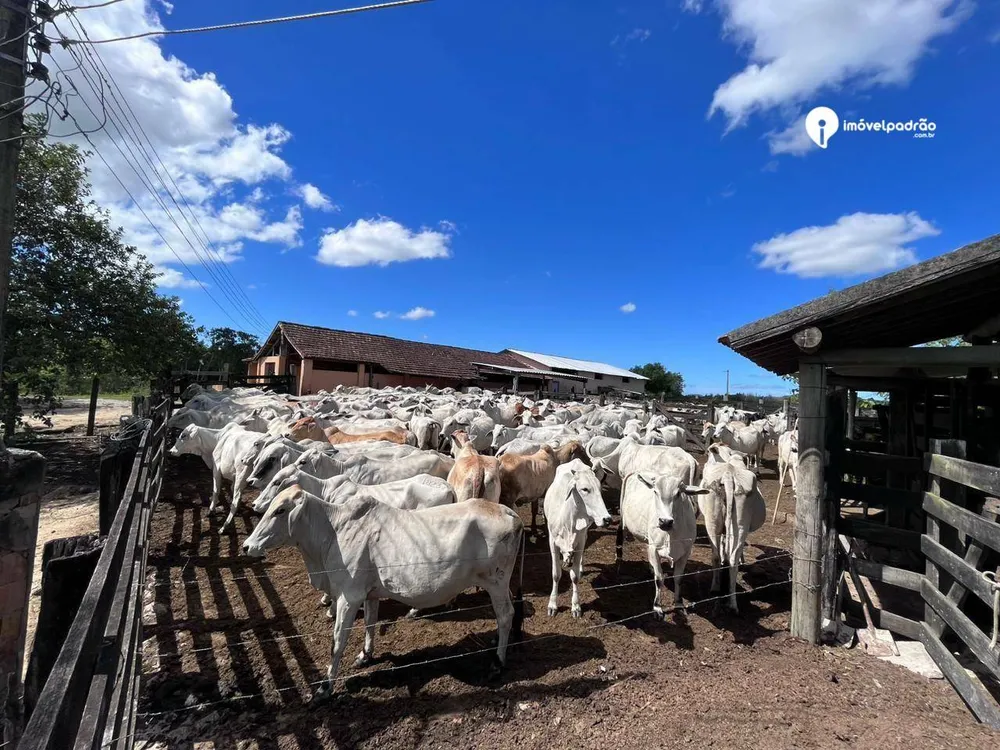 Fazenda, 252 hectares - Foto 14