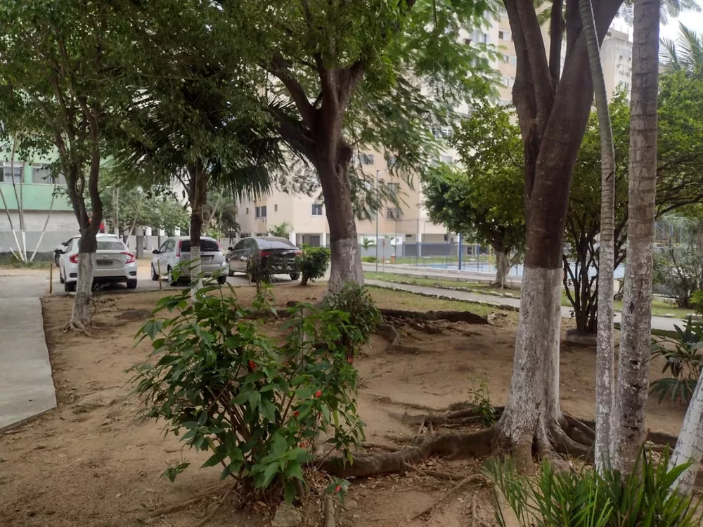 Apartamento, 2 quartos, 65 m² - Foto 12