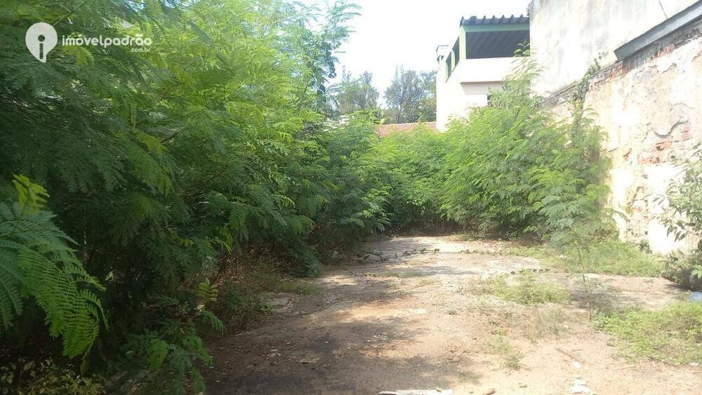 Terreno, 360 m² - Foto 7