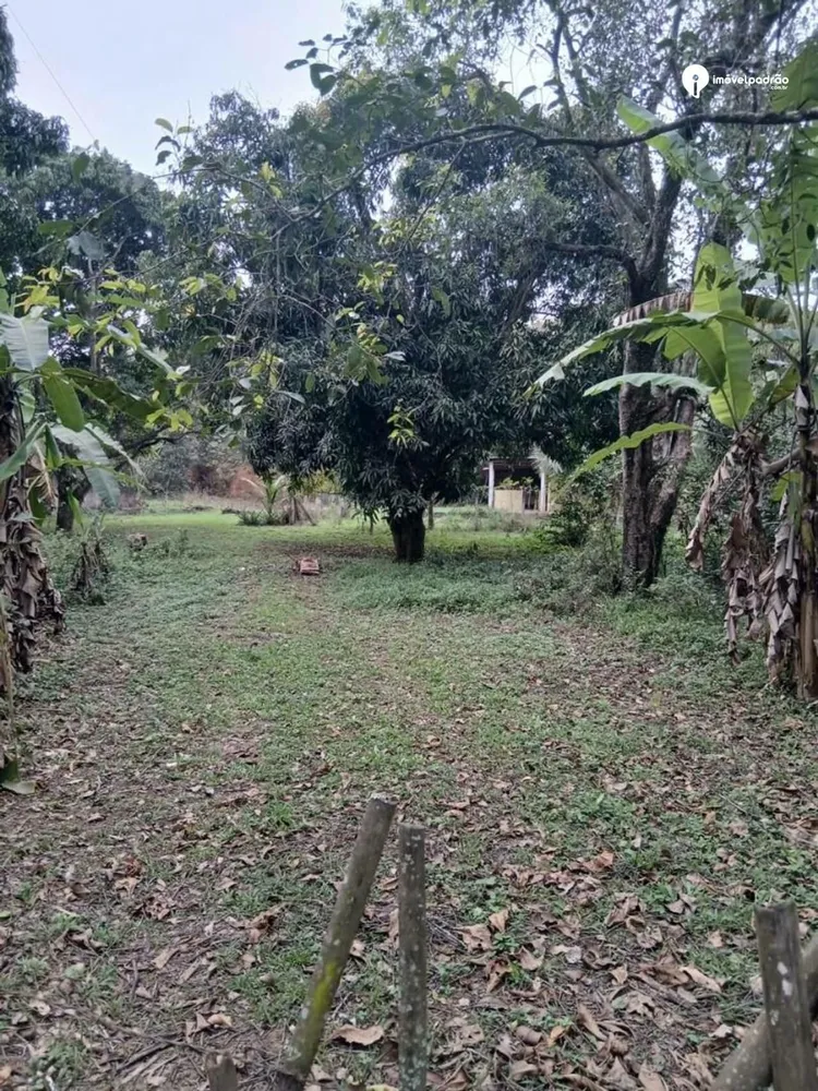 Terreno, 10000 m² - Foto 1