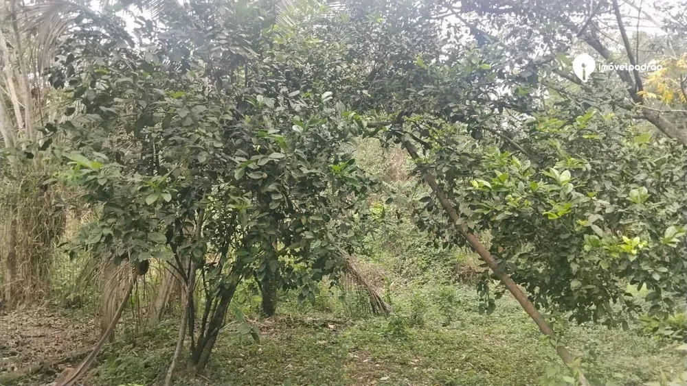 Terreno, 10000 m² - Foto 9