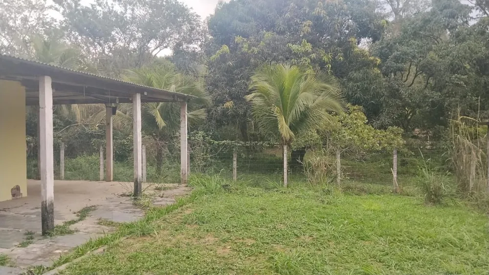 Terreno, 10000 m² - Foto 6