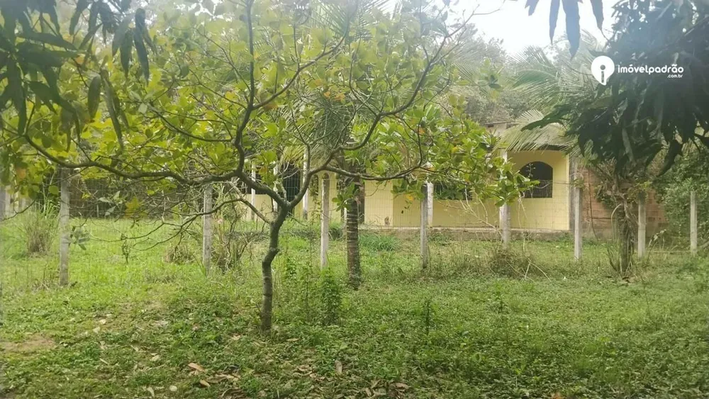 Terreno, 10000 m² - Foto 7