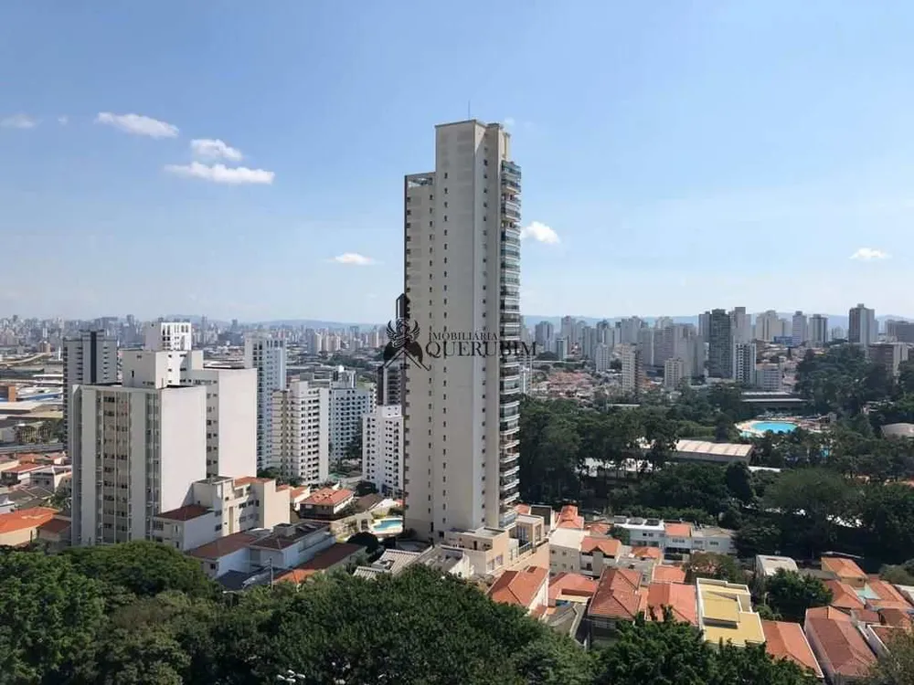 Cobertura, 4 quartos, 450 m² - Foto 11