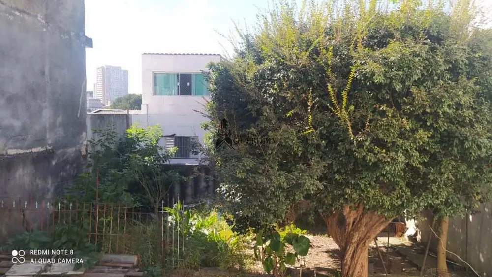 Casa, 3 quartos, 290 m² - Foto 11